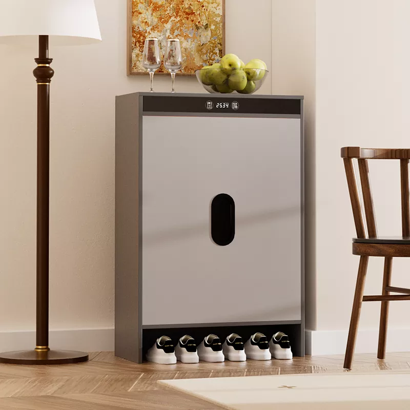 Graphene Electric Pemanasan Timing Pengeringan Kabinet Sepatu