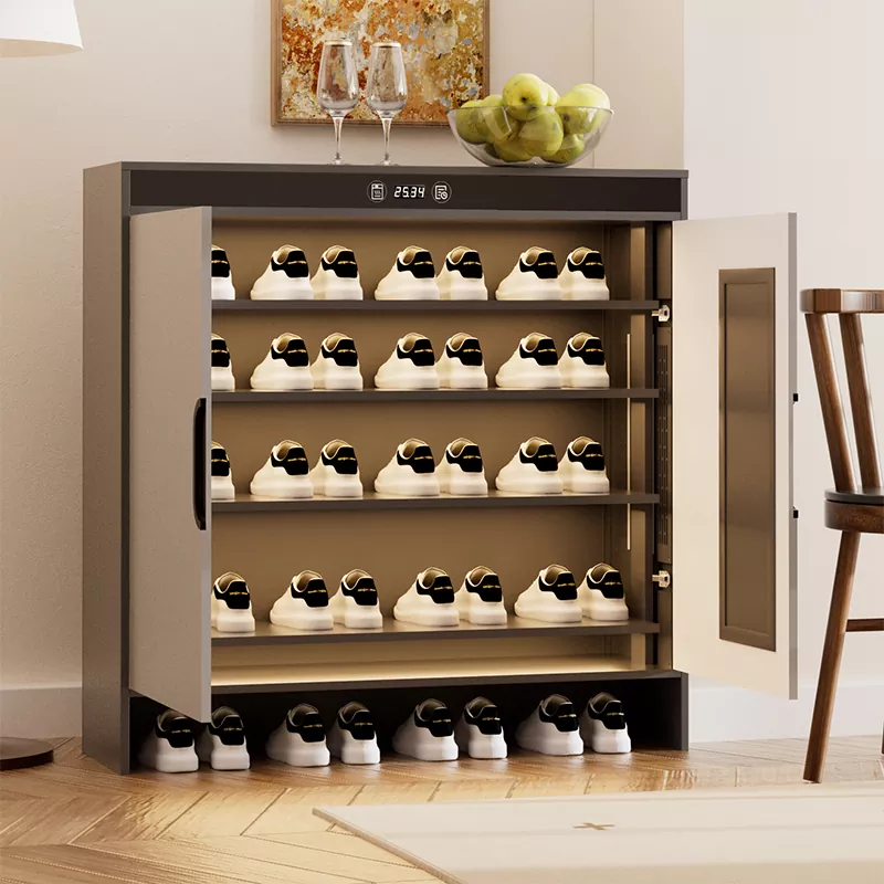 Graphene Electric Pemanasan Timing Pengeringan Kabinet Sepatu